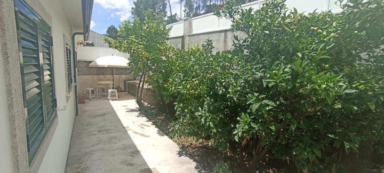 Casa Machado Βίλα Vila Real Εξωτερικό φωτογραφία