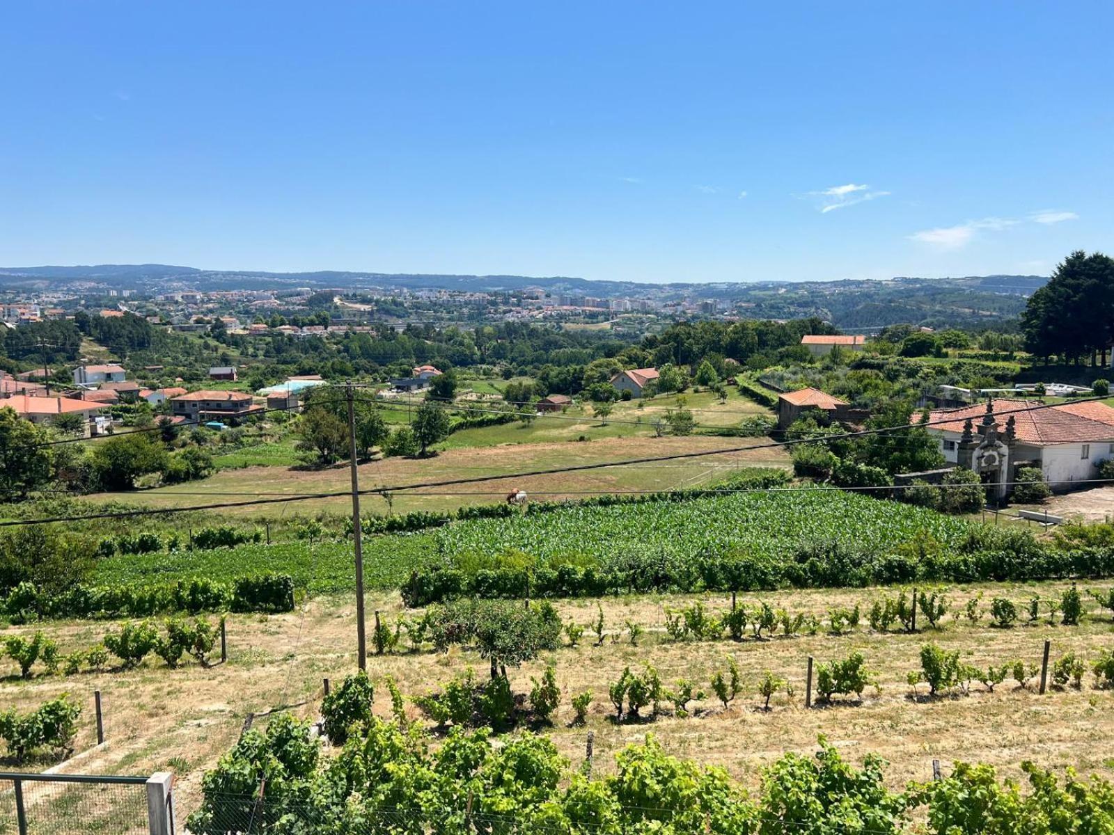 Casa Machado Βίλα Vila Real Εξωτερικό φωτογραφία